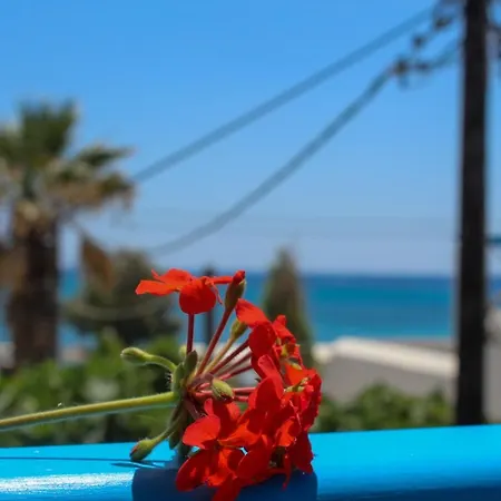Sea View Apartments & Studios Agia Anna  Extérieur photo