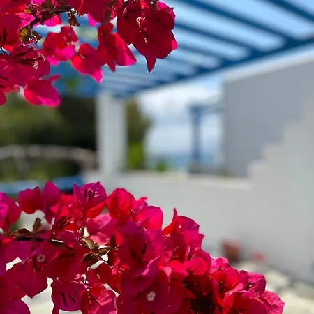 Sea View Apartments & Studios Agia Anna  Extérieur photo