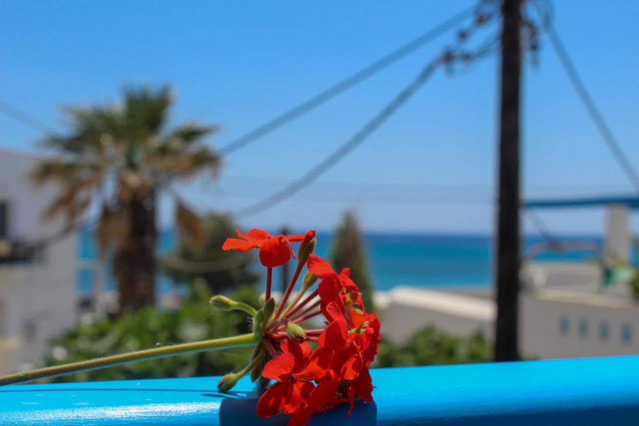 Sea View & Apartment Agia Anna (Naxos)