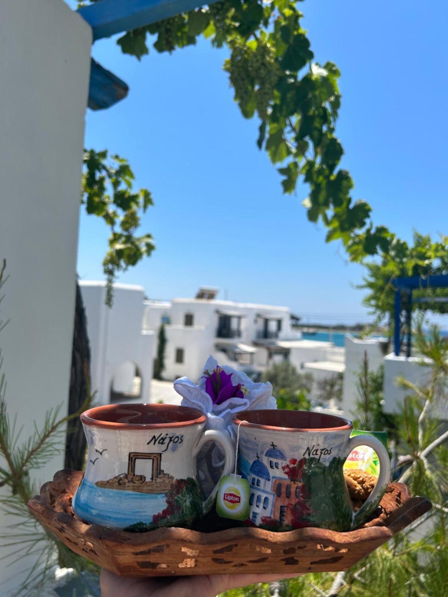 Sea View & Apartment Agia Anna (Naxos)